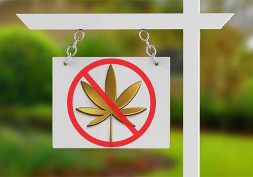 52% Of Canadians Less Likely To Buy Homes Where Legal Pot Was Grown: