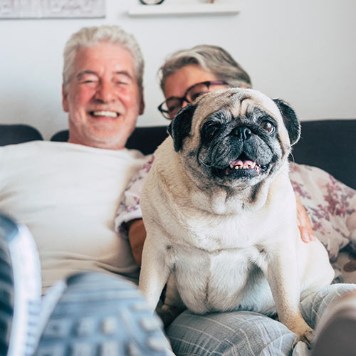 Small and medium-sized businesses are the engine of the Canadian economy.